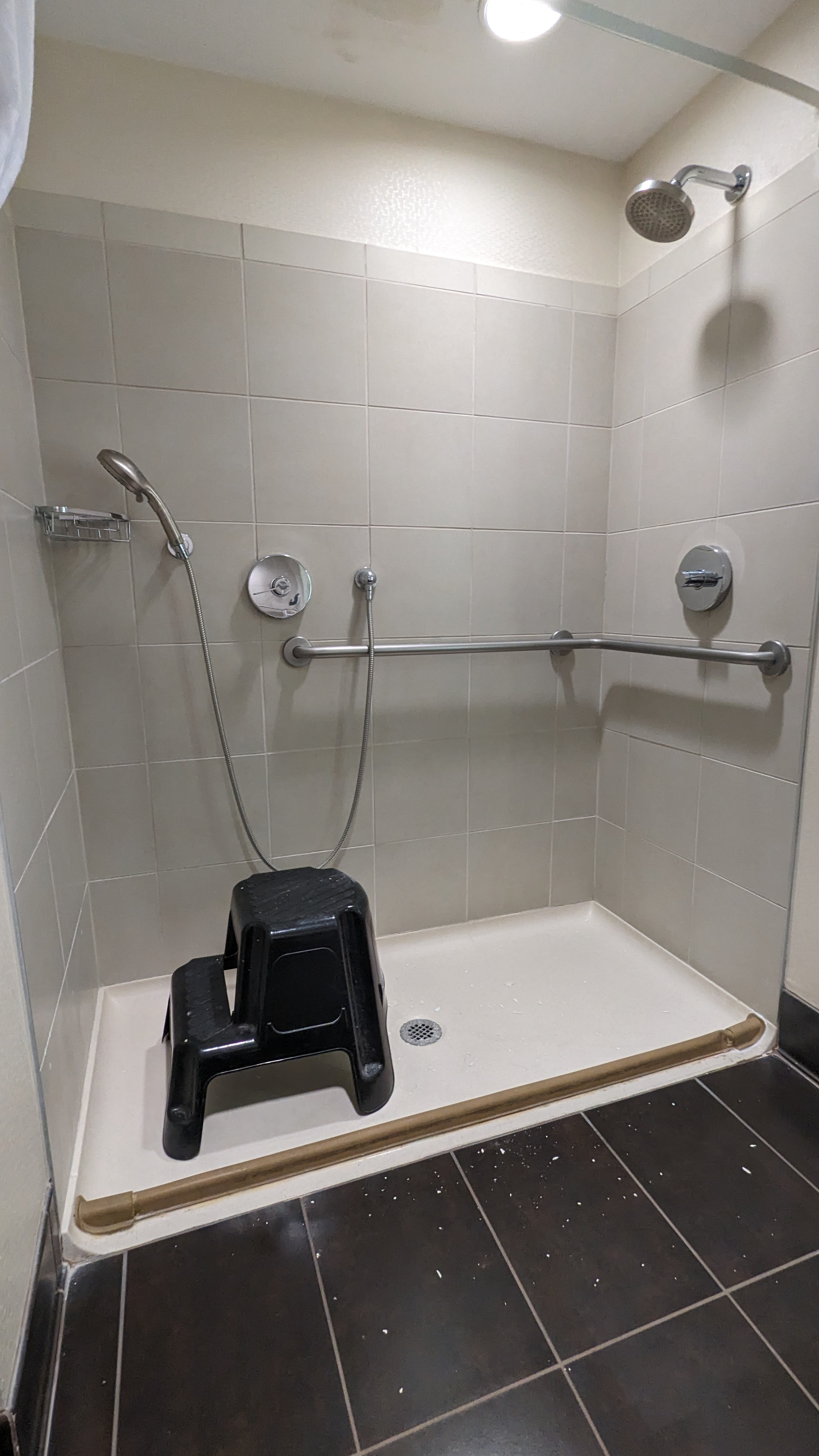 Roll in shower with collapsing transition strip for water. (receiving maintenance in photo)