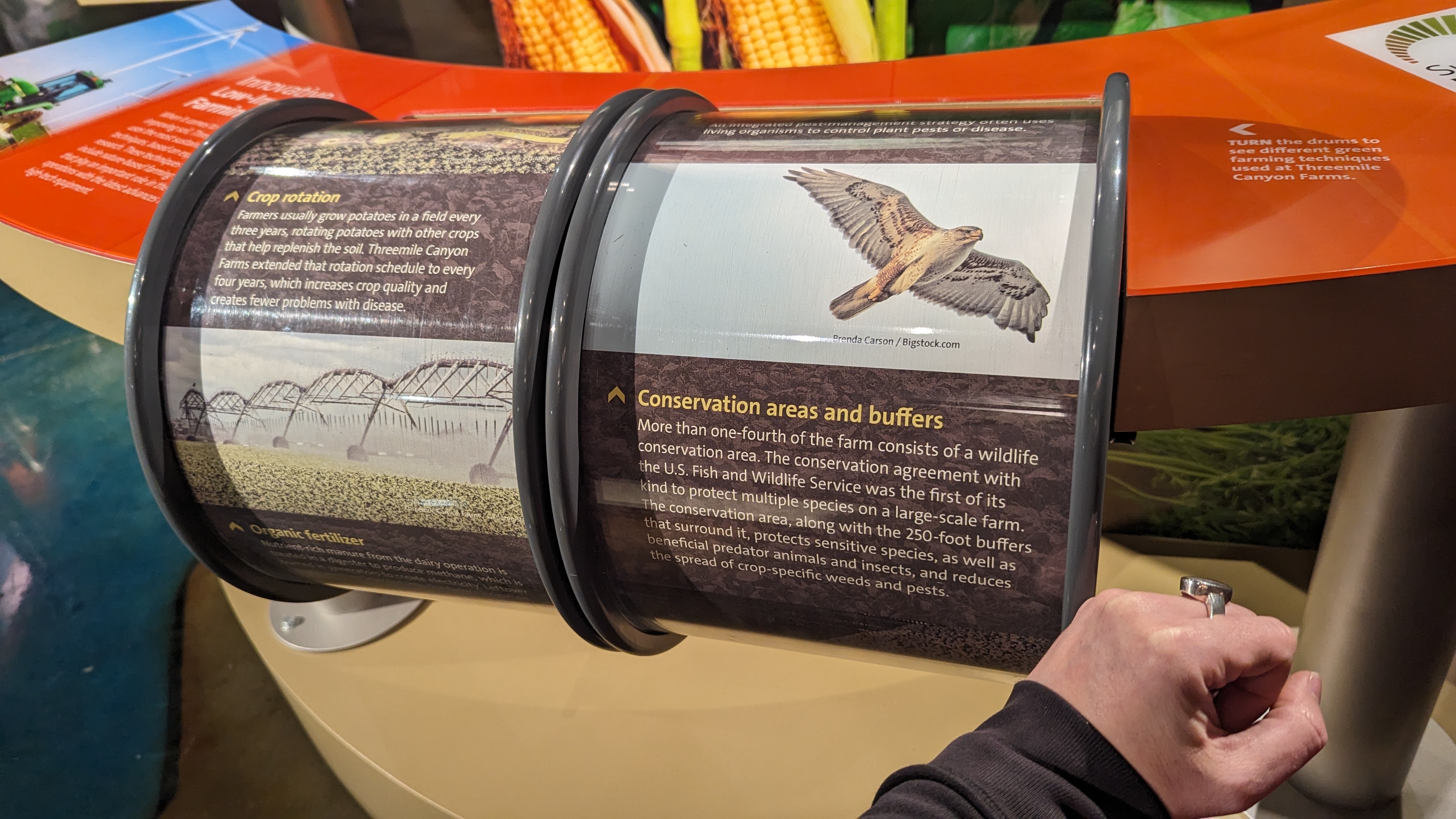 Interactive display easily turned with closed fist